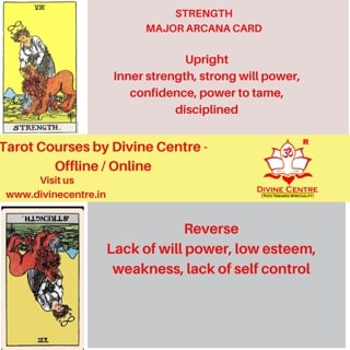 Strength Tarot Card
